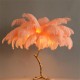 Decorative Natural Feather Table Lamp Beside Light